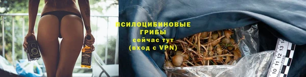a pvp Горнозаводск