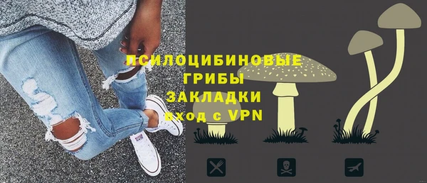 прущая мука Горняк
