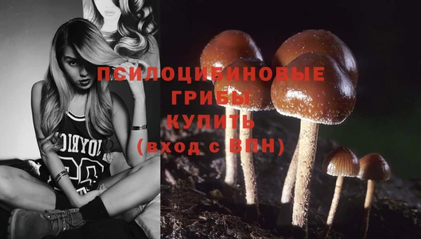 круглые Горно-Алтайск
