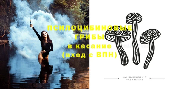 прущая мука Горняк